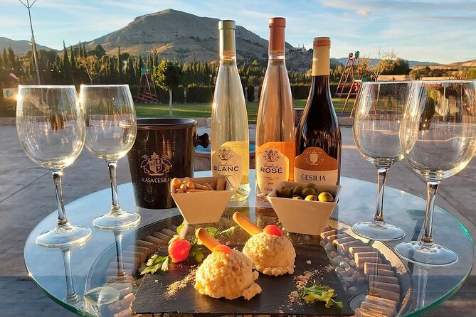 Old Winery with Tasting from Alicante